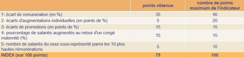 Tableau Index de l’égalité femmes-hommes